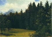 Albert Bierstadt Greater San Francisco Area (Mountain Glade and Mountain Resort) Germany oil painting artist